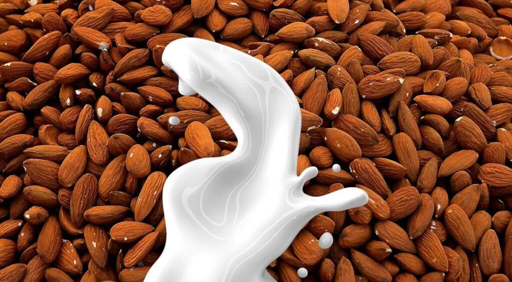 Homemade Almond Milk: A Delicious and Nutritious Treat
