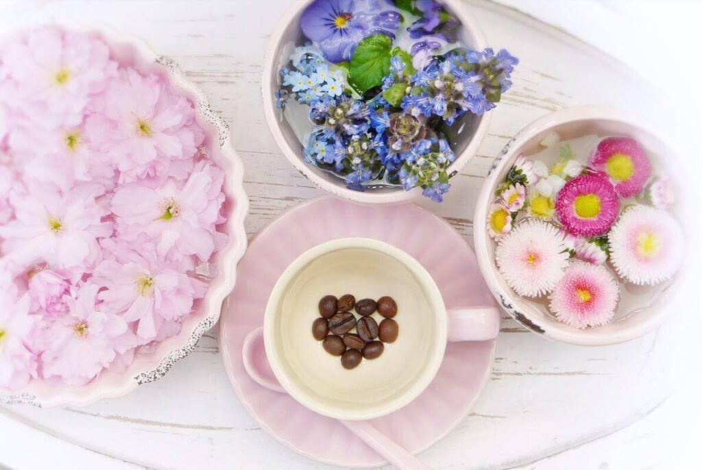 Homeopathy 105: Mary’s Materia Medica of the most important first-aid remedies