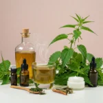 The Healing Power and Nutrition of Stinging Nettle 5 The Healing Power and Nutrition of Stinging Nettle